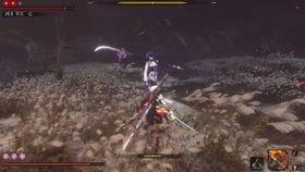 最新爆料雷电将军视频播放,神秘力量觉醒，神秘面纱即将揭晓！