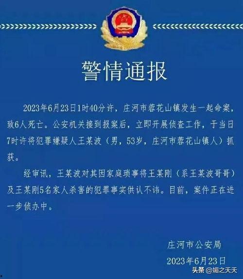 庄河最新事件爆料信息,揭秘背后真相,引发社会关注 第3张 庄河最新事件爆料信息,揭秘背后真相,引发社会关注 第3张